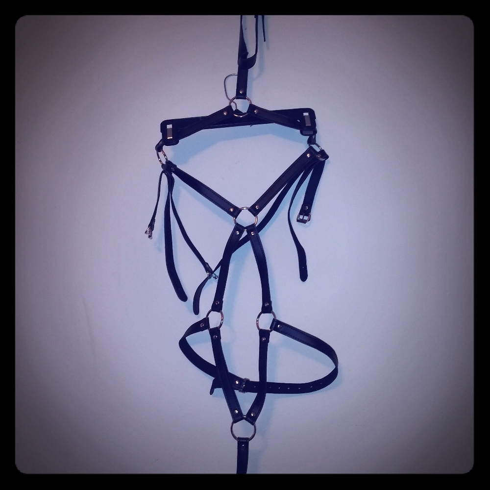 Full Body Harness.  Size Med.